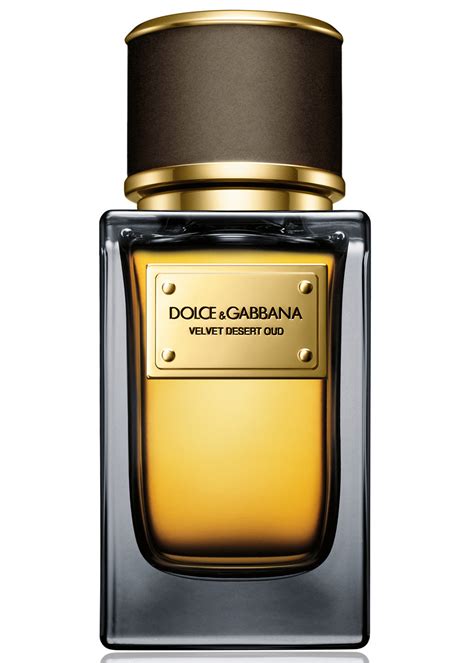 dolce & gabbana velvet desert oud price
